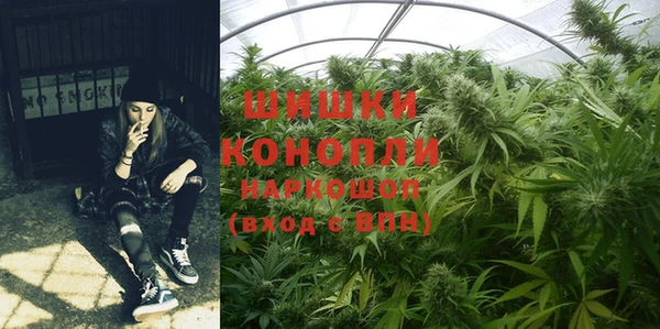индика Абдулино