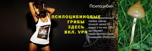 дмт Алексеевка