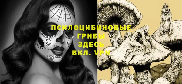 дмт Алексеевка