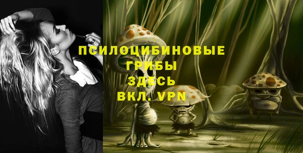 ешки Абаза
