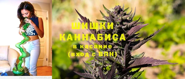 индика Абдулино