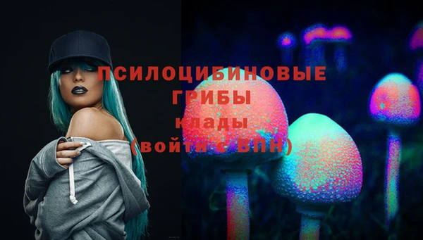 дмт Алексеевка