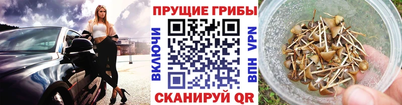 Галлюциногенные грибы прущие грибы  Калач 