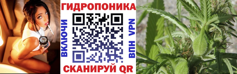 Конопля семена  Калач 